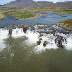 Beljandi